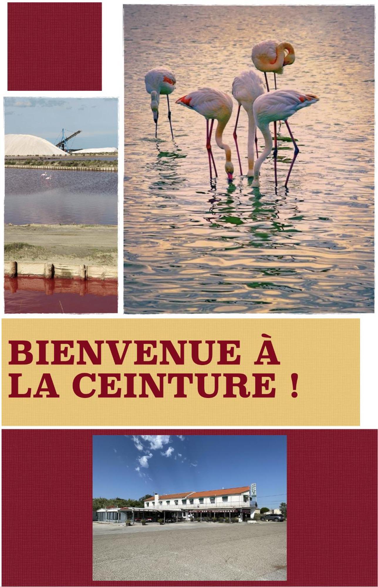 Hotel Restaurant La Ceinture ヴォヴェール エクステリア 写真